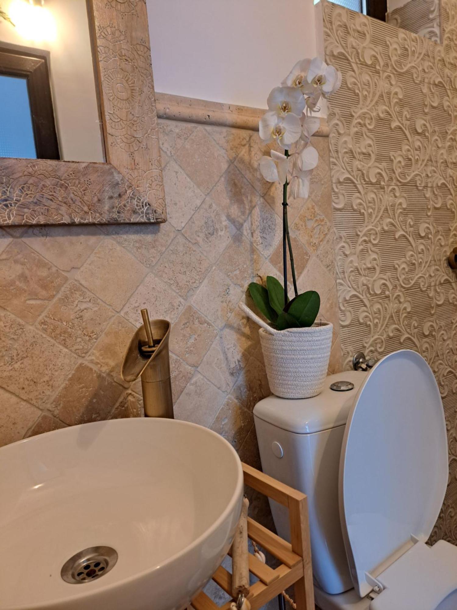 Luna Costineşti Exterior foto