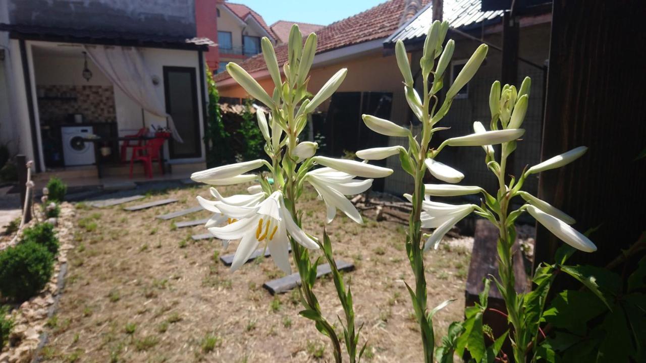 Luna Costineşti Exterior foto